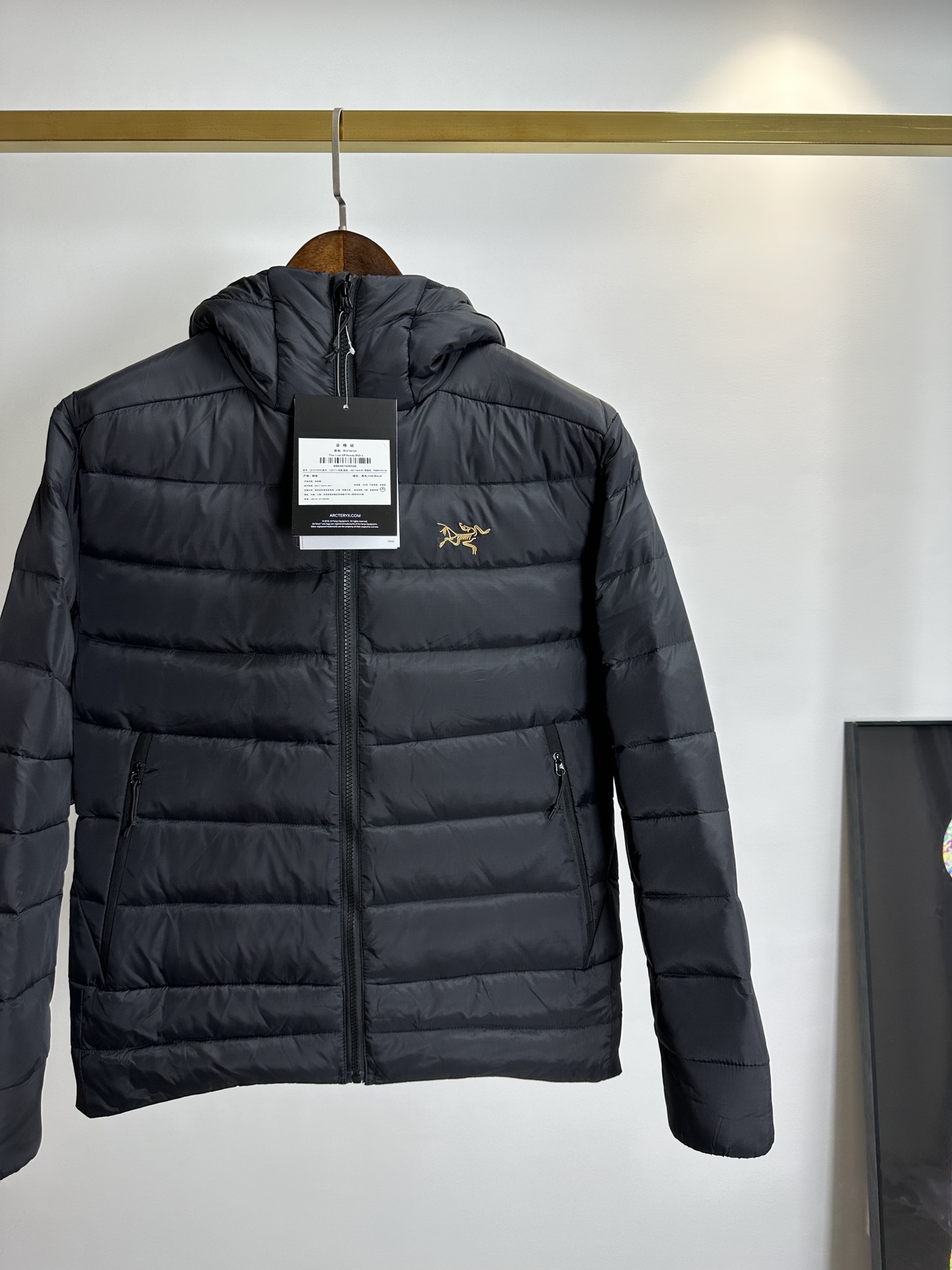 Arcteryx Down Jackets